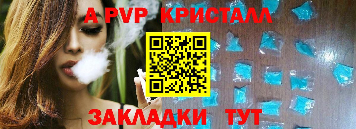 Alfa_PVP СК Новочеркасск