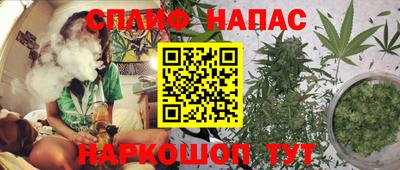 твердый Тара