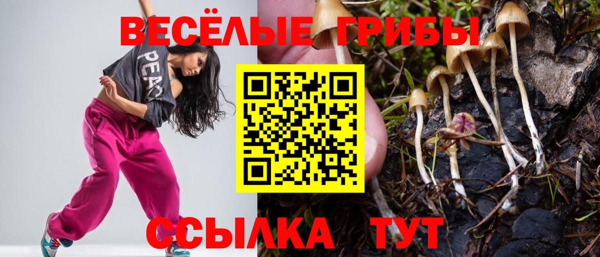 Новочеркасск  закладки  Вход с VPN  Псилоцибиновые грибы MAGIC MUSHROOMS 
