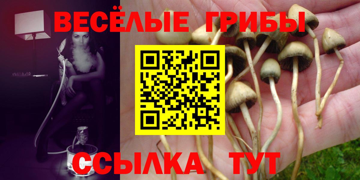 Псилоцибиновые грибы мухоморы Новочеркасск